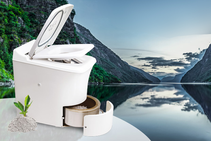 ケーキとドライフラワーの画像